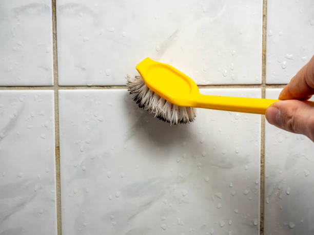 Best Emergency Mold Removal  in New Brunswick, NJ