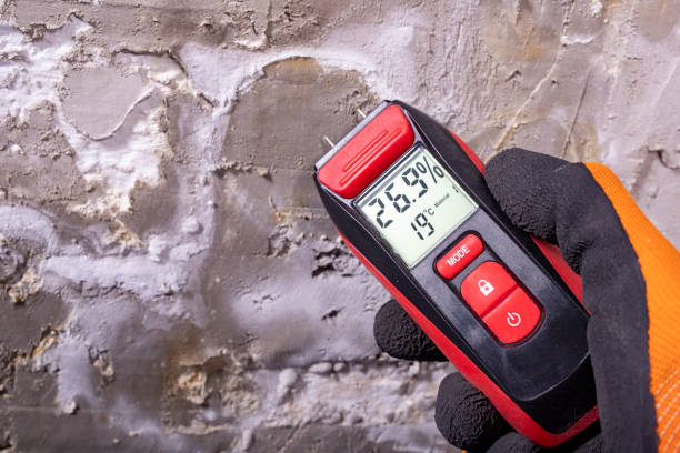 Attic Mold Removal in New Brunswick, NJ
