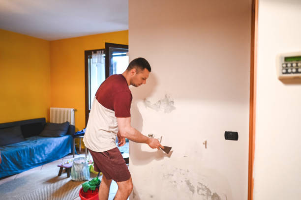 Best Mold Cleaning Services  in New Brunswick, NJ